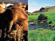 Iceland-East and South-Egilsstadir Saga Easti
